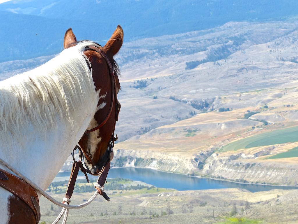 Sundance Guest Ranch Villa Ashcroft Luaran gambar