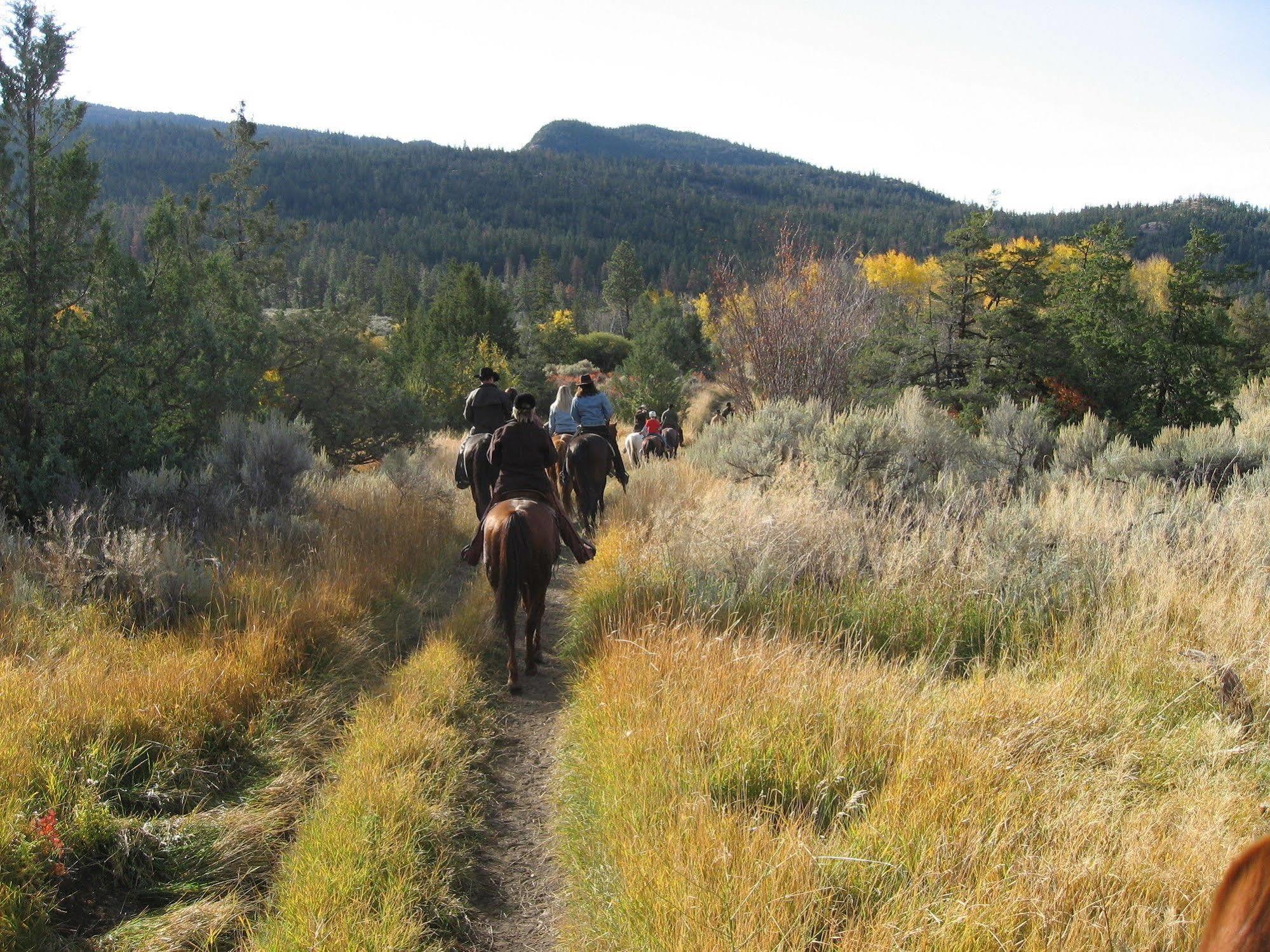 Sundance Guest Ranch Villa Ashcroft Luaran gambar