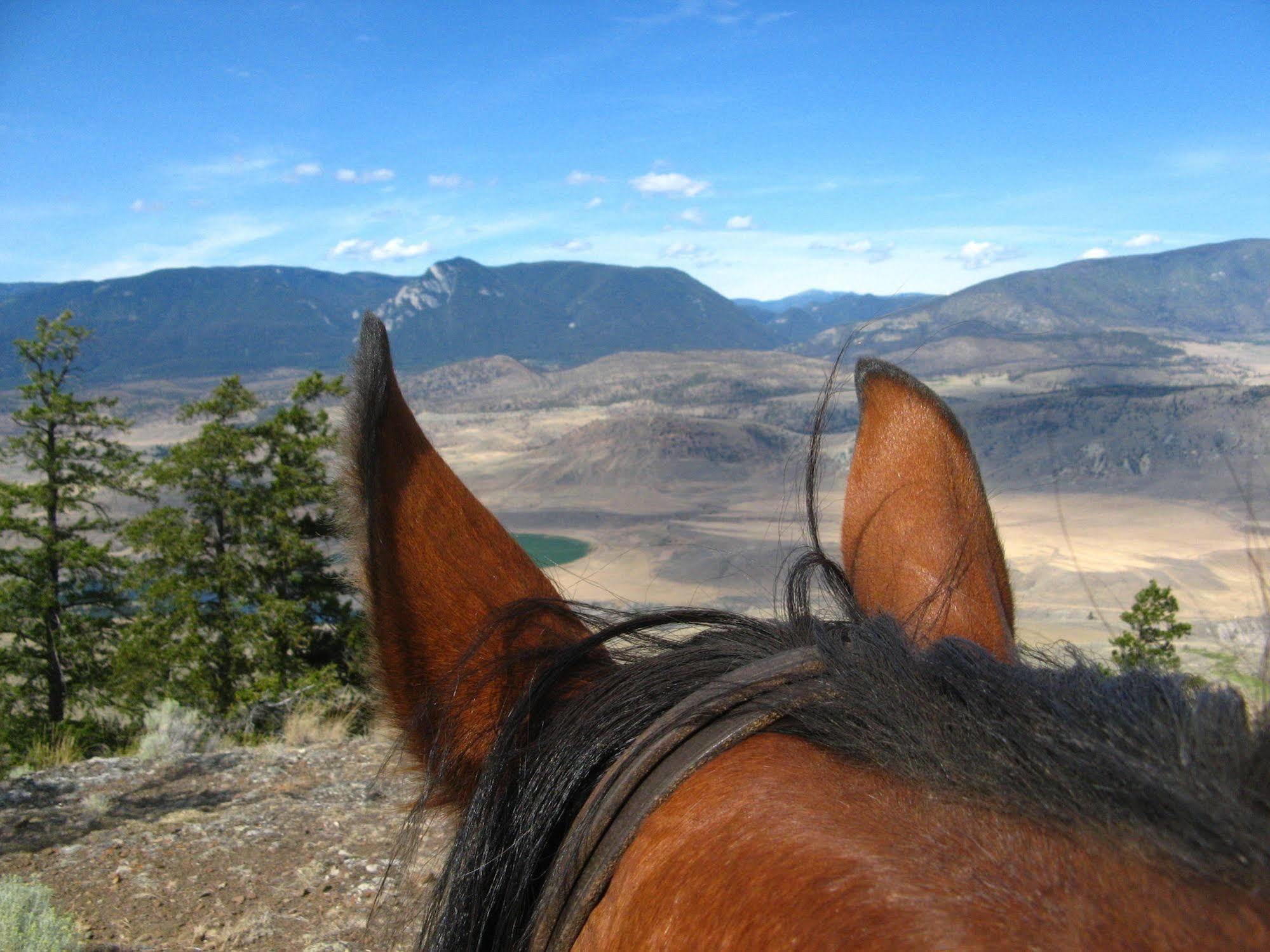 Sundance Guest Ranch Villa Ashcroft Luaran gambar