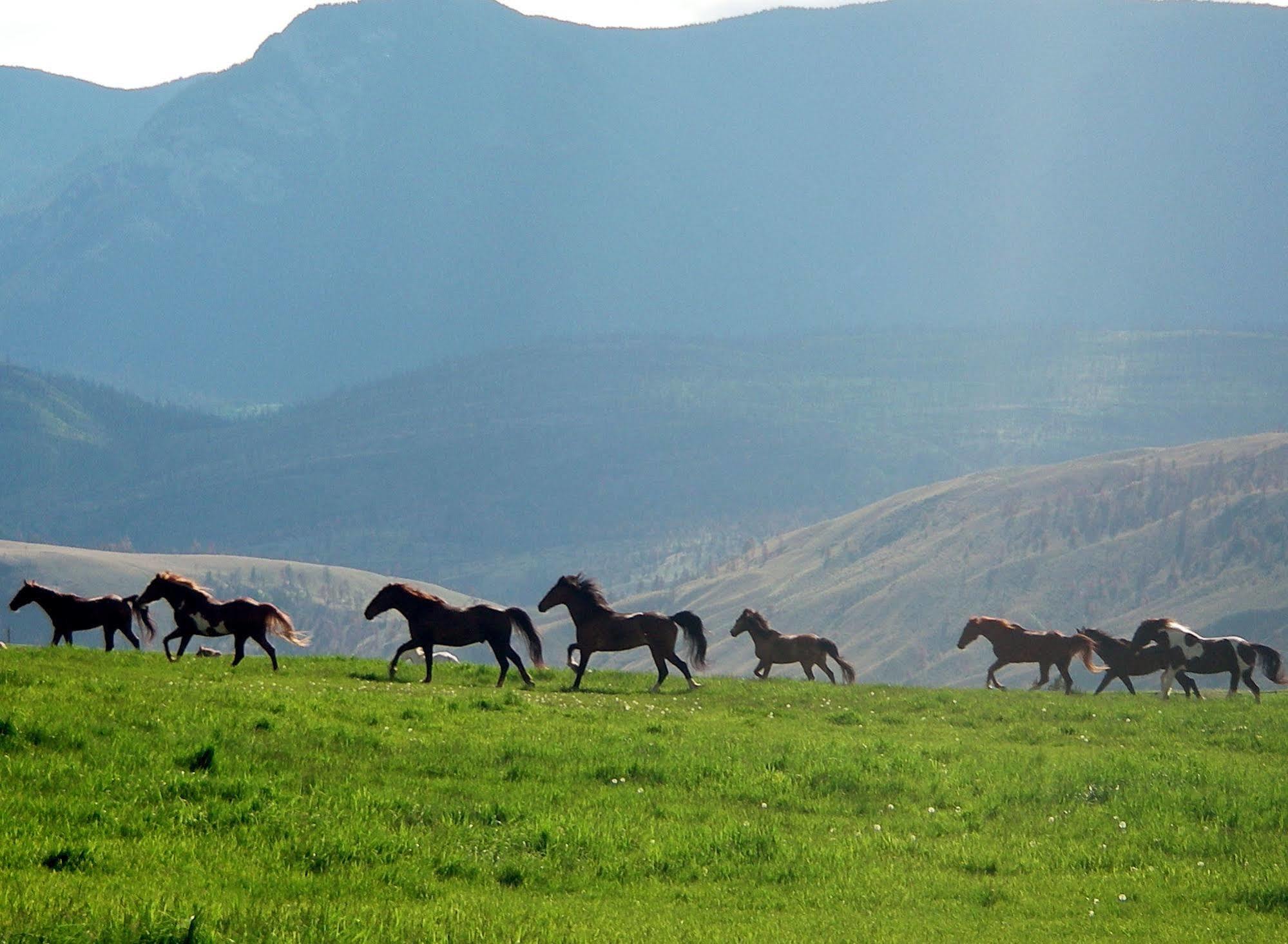 Sundance Guest Ranch Villa Ashcroft Luaran gambar